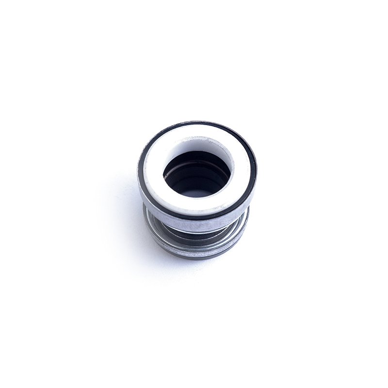 Lepu 155 customization for high-pressure applications-Lepu Seal-img-1