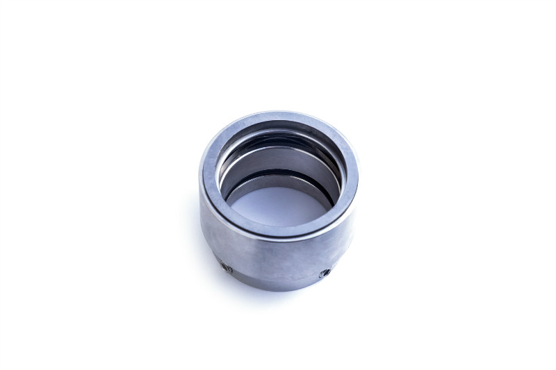 application-high-quality burgmann seals btar OEM high pressure-Lepu Seal-img-1