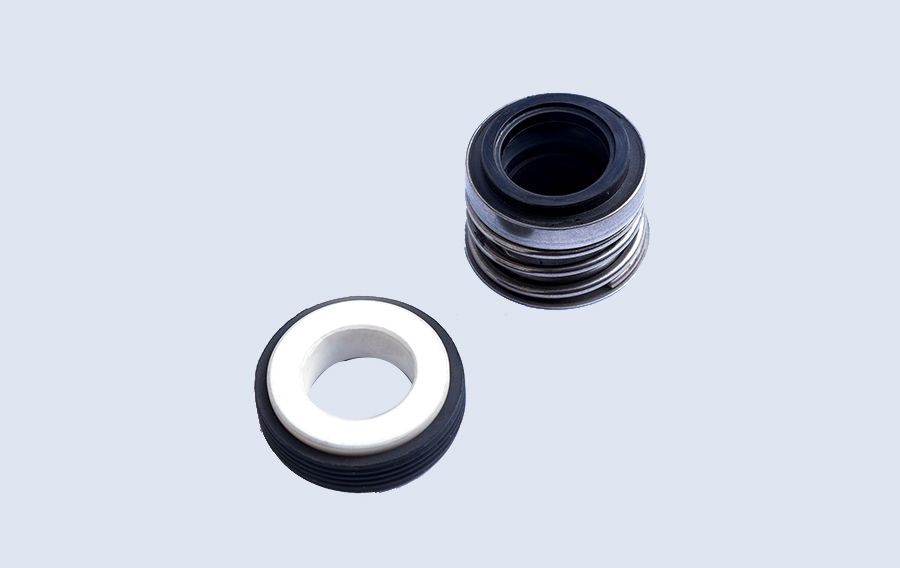Lepu lowara bellows mechanical seal for business for food