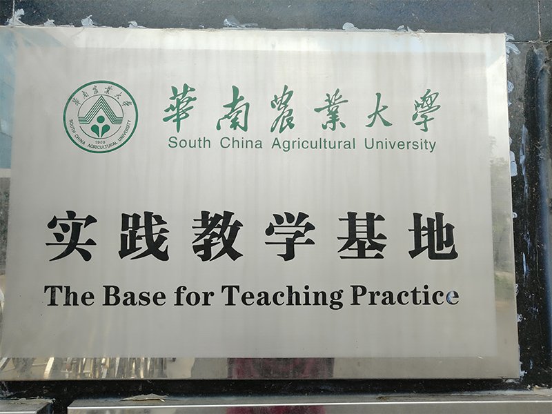 The Base for Teaching Practice