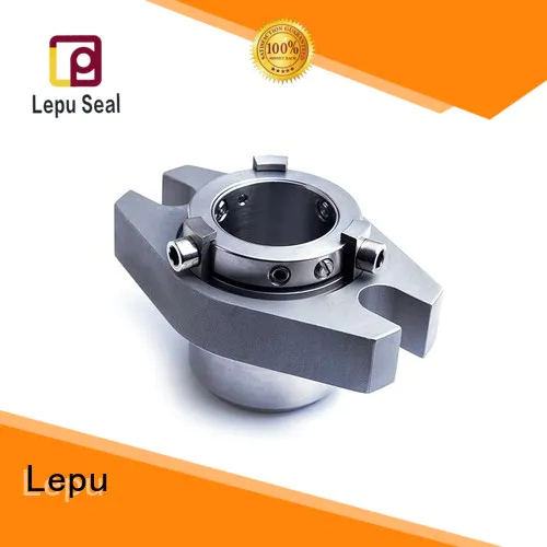 Lepu convertor aesseal mechanical seal customization for high-pressure applications