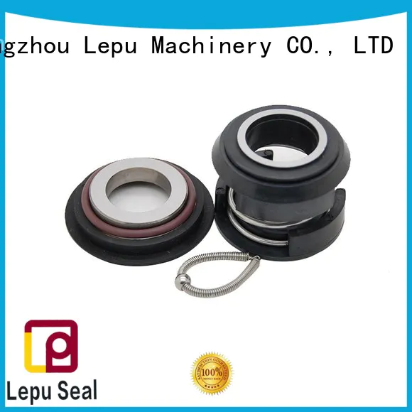 Lepu at discount flygt mechanical seals for wholesale for short shaft overhang
