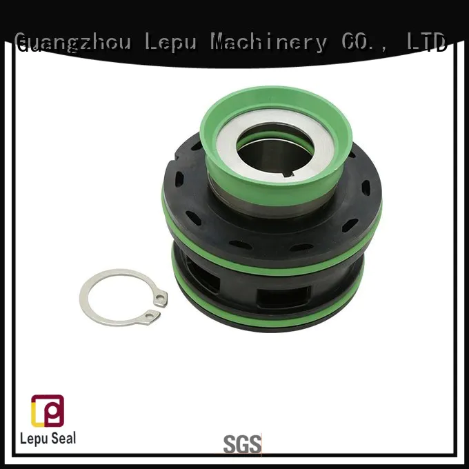 Lepu lower flygt pump seal customization for short shaft overhang