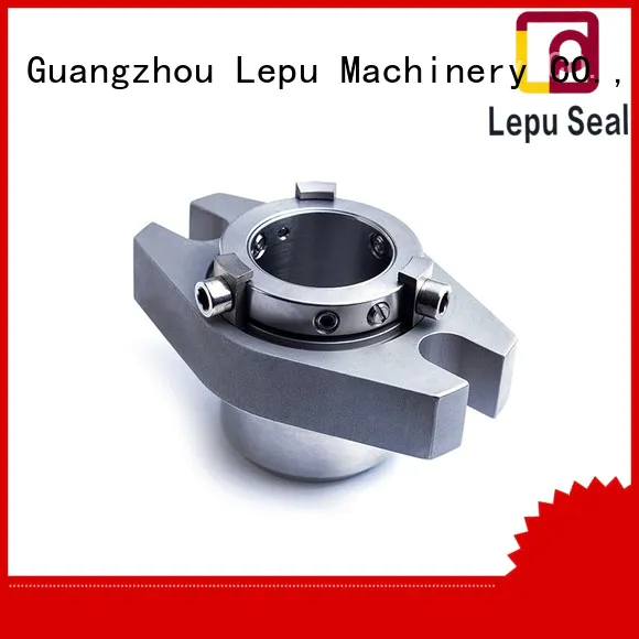 Lepu Brand arrangement mechanical packing AES Mechanical Seal factory cartridge