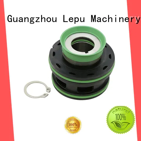 Lepu design flygt mechanical seal supplier for hanging