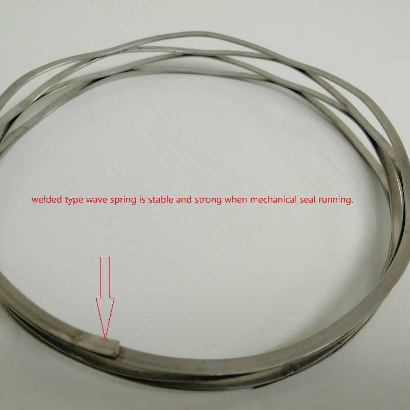 Lepu-News | Why We Need Welded Type Wave Spring For Cartridge Mechanical Seal-1