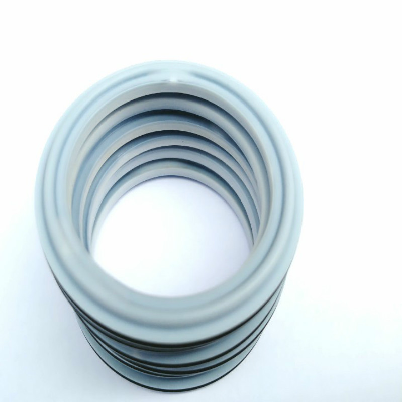 Lepu pipe o ring seal supplier for food-Mechanical seal-Cartridge Seal-Grundfos Mechanical Seal-Lepu-1