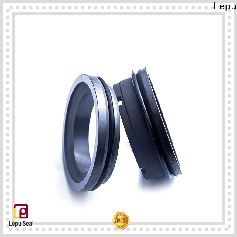 Lepu Breathable APV Mechanical Seal manufacturers for wholesale for beverage