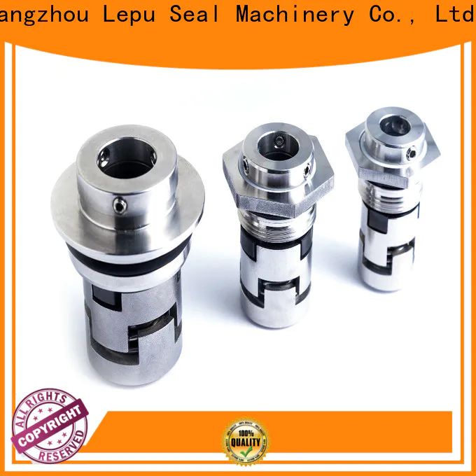 Lepu on-sale grundfos mechanical seal OEM for sealing joints