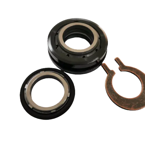 durable Flygt 3153 Mechanical Seal fsg supplier for hanging