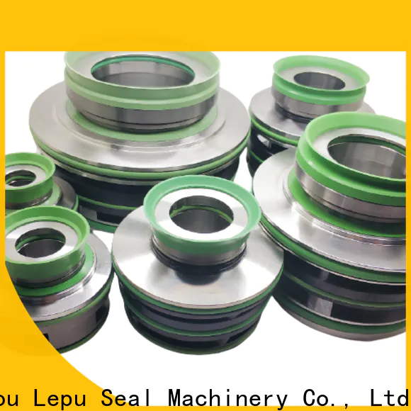 Lepu Seal Custom OEM Flygt 3152 Mechanical Seal buy now for hanging