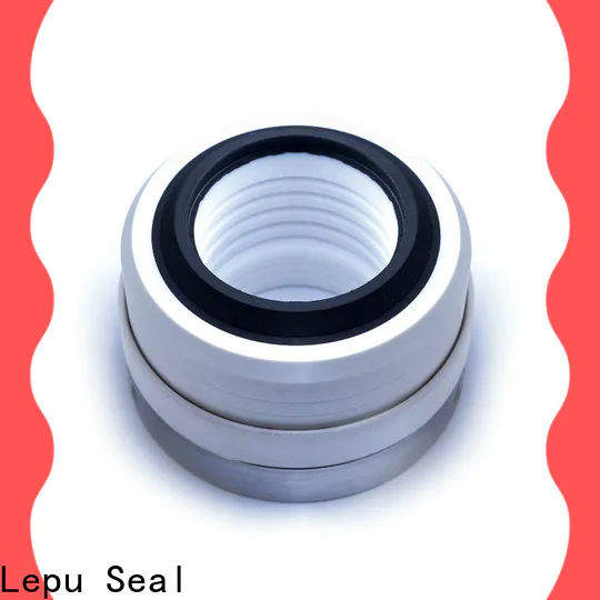 Lepu Seal Wholesale OEM pressure washer oil seal ODM bulk production