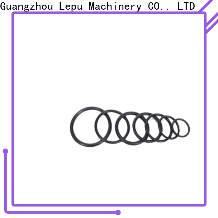Lepu Seal silicon carbide ring manufacturers