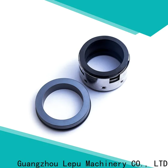 Lepu Seal costeffective john crane type 21 mechanical seal supplier for chemical