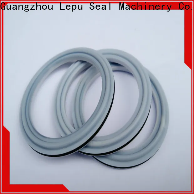 Lepu Seal sic rings Suppliers