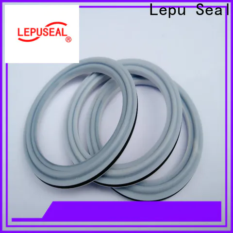 Lepu Seal Custom best sic ring manufacturers