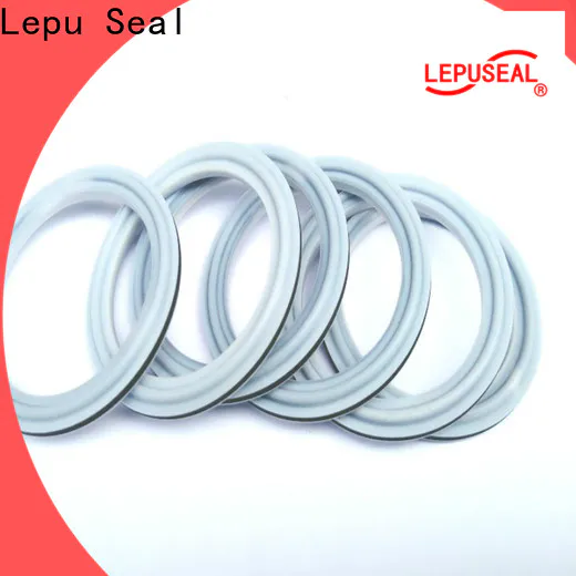 Lepu Seal silicon carbide seal rings factory