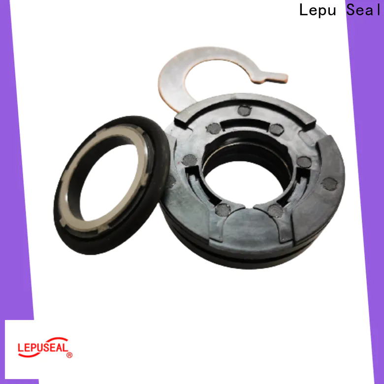 Lepu Seal portable Flygt Submersible Pump Mechanical Seal factory for short shaft overhang