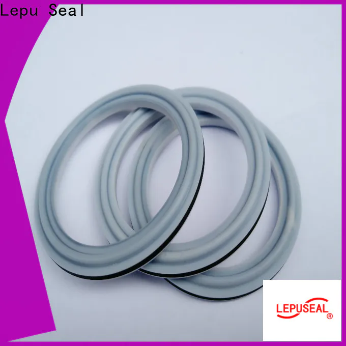 Lepu Seal Latest sic rings manufacturers