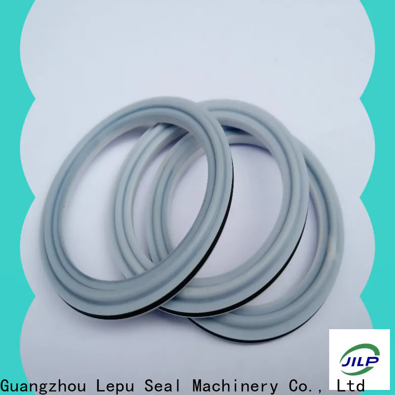 Lepu Seal carbide seal ring factory