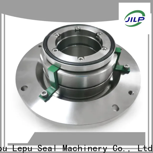 Lepu Seal costeffective John Crane Mechanical Seal Type 21 from China processing industries