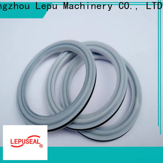 Lepu Seal sic rings Suppliers