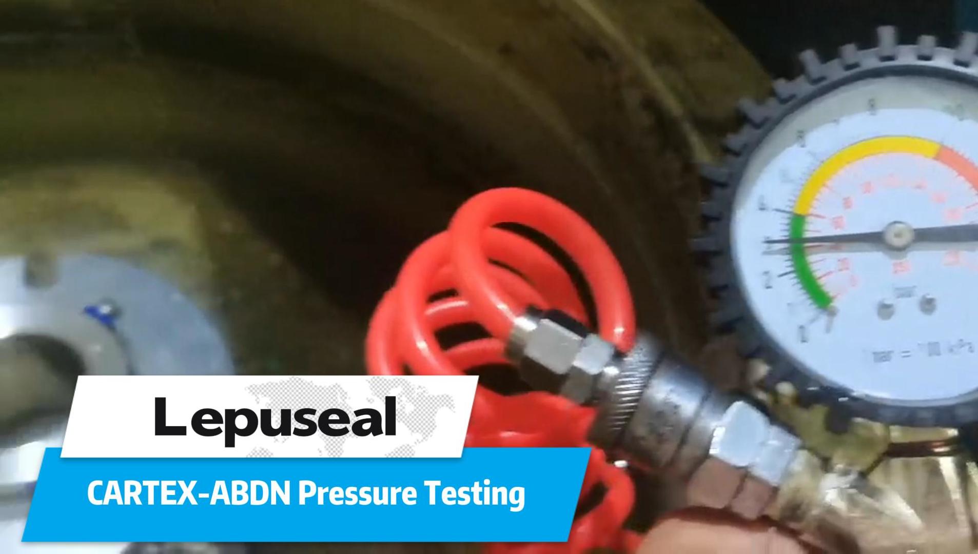 Cartex-ABDN Double Cartridge Seal Pressure Testing